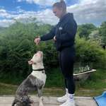 Ersteller:in Sina Profilbild