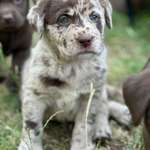 Ersteller:in Marvin Profilbild