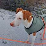 Ersteller:in Andrea Profilbild