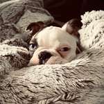 Ersteller:in Kathrin Profilbild