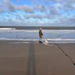 Ersteller:in Jasmin Profilbild