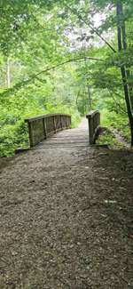 Hundeauslaufgebiet-Stadtwald Bocholt-Bild