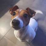 Ersteller:in Kostas Profilbild