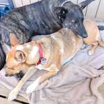 Ersteller:in Thomas Profilbild