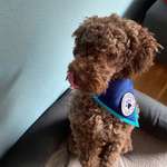 Ersteller:in Ida Profilbild