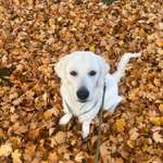 Ersteller:in Anna Profilbild