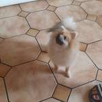 Ersteller:in Heike Profilbild