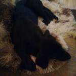 Ersteller:in Vanessa Profilbild