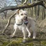 Ersteller:in Jessy Profilbild