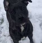 Ersteller:in Angelina Profilbild