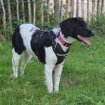 Ersteller:in Birgit Profilbild