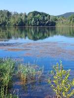 Hundeauslaufgebiet-Kenner Flur-Bild