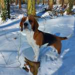 Ersteller:in Franziska Profilbild