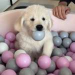 Ersteller:in Gina Profilbild