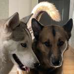 Ersteller:in Nina Profilbild