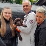 Ersteller:in Vivian Profilbild