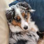 Ersteller:in Yasmin Profilbild