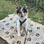 Ersteller:in Sabine Profilbild