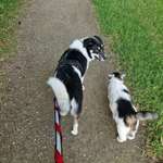 Ersteller:in Tina Profilbild