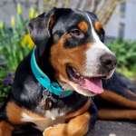 Ersteller:in Markéta Profilbild