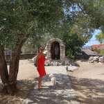 Ersteller:in sonja Profilbild