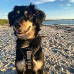 Ersteller:in Diana Profilbild