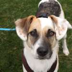 Ersteller:in Elisa Profilbild