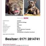 Suchmeldung-Boni-Bild