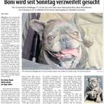 Suchmeldung-Boni-Bild