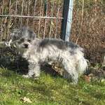 Ersteller:in Janin Profilbild