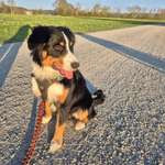 Ersteller:in Alisia Profilbild