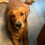 Ersteller:in Ramona Profilbild