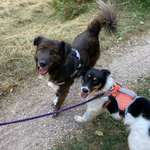 Ersteller:in Eva Profilbild