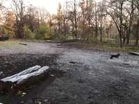 Hundeauslaufgebiet-Volkspark Anton Saefkow-Bild