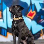 Ersteller:in Natalie Profilbild