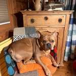 Ersteller:in Aysun Profilbild