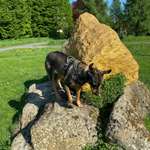 Ersteller:in Lena Profilbild