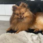 Ersteller:in Selina Profilbild