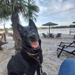 Urlaub in Dänemark-Beitrag-Bild