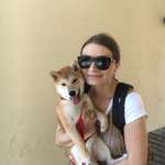 Ersteller:in Ola Profilbild