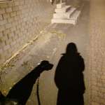 Ersteller:in Rayni Profilbild