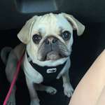 Ersteller:in Anna-Stina Profilbild