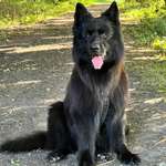 Ersteller:in Birgit Profilbild