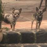 Ersteller:in Michael Profilbild