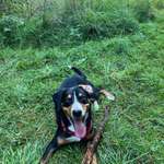 Ersteller:in Fabi Profilbild