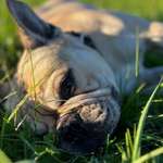 Ersteller:in Samantha Profilbild