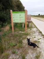 Hundeauslaufgebiet-Aussichtstürmchen-Bild