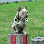 Ersteller:in Gordon Profilbild