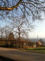 Hundeauslaufgebiet-Hermannswiesen-Bild