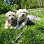 Ersteller:in Elke Profilbild